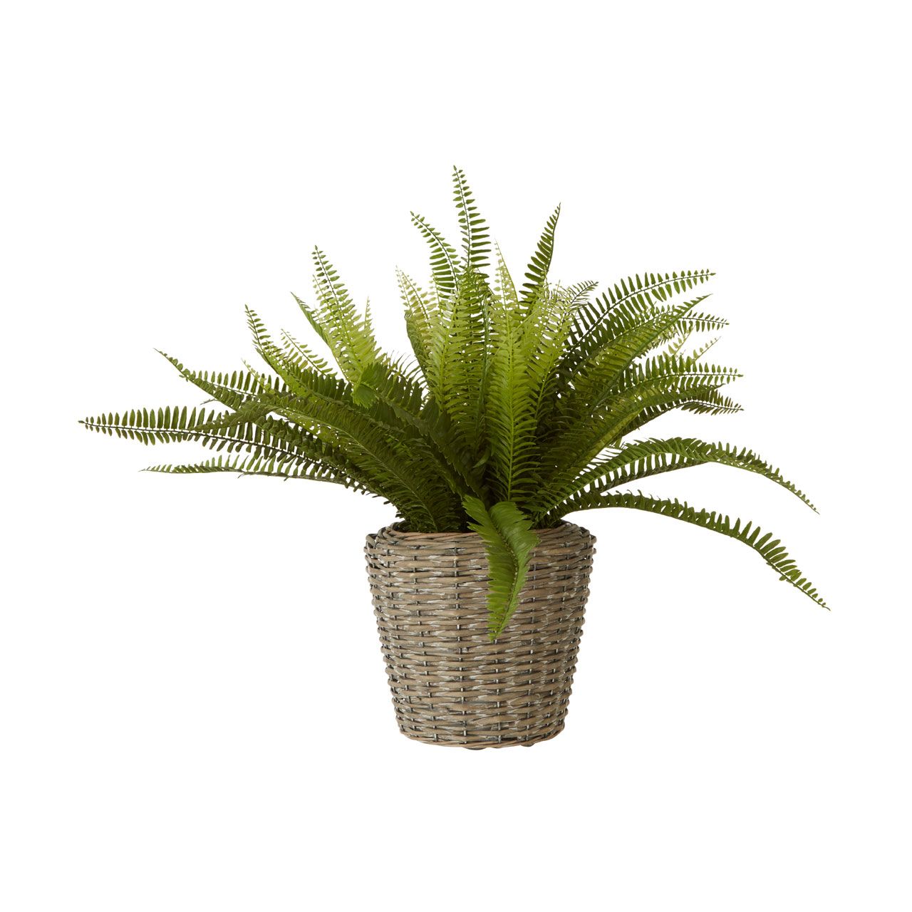Faux Fern in Rustic Woven Basket – Large – HALO HOME