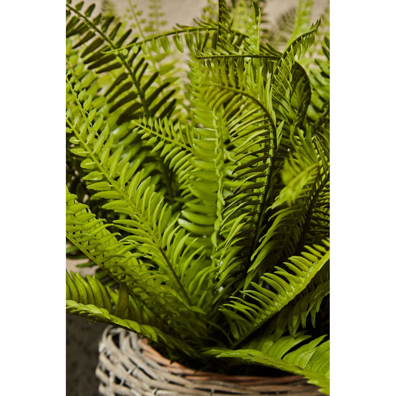 Faux Fern in Rustic Woven Basket – Large