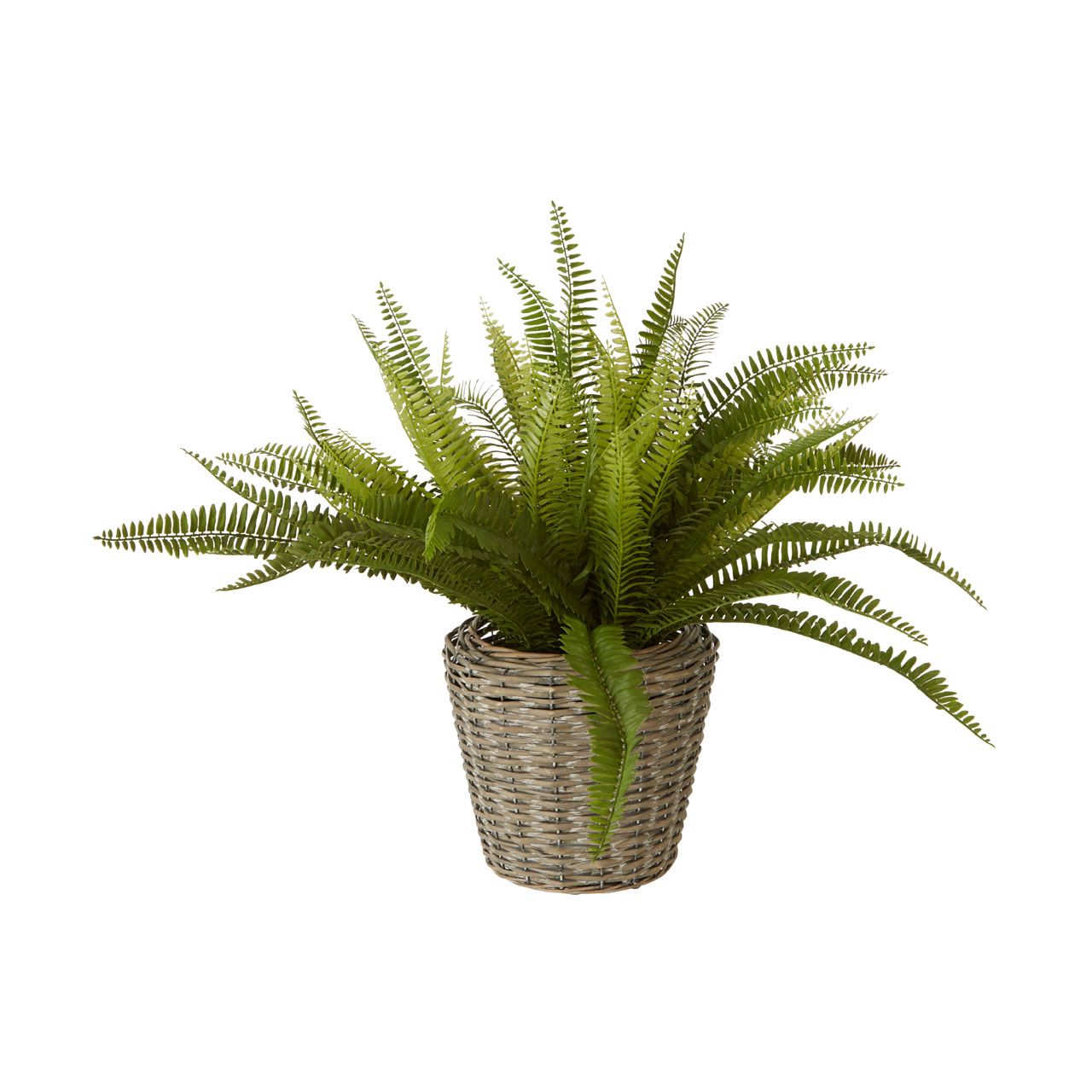 Faux Fern in Rustic Woven Basket – Large