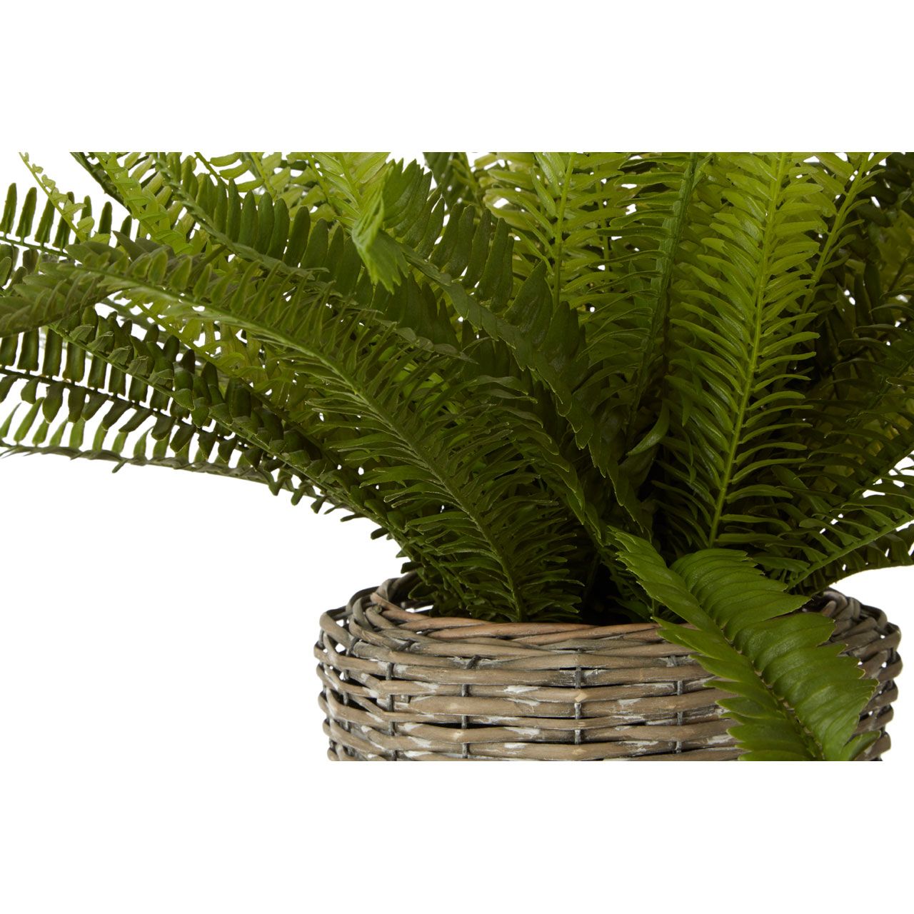 Faux Fern in Rustic Woven Basket – Large